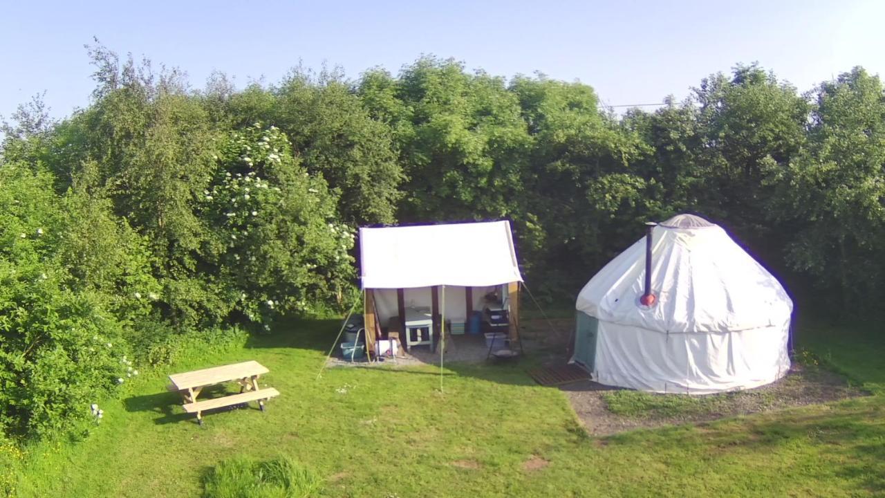 Mill Haven Place Glamping-Yurt 1 Talbenny Ngoại thất bức ảnh