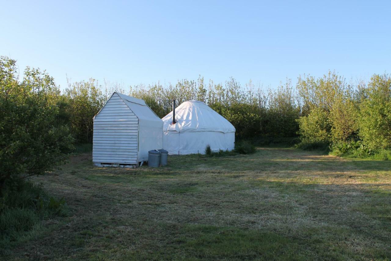 Mill Haven Place Glamping-Yurt 1 Talbenny Ngoại thất bức ảnh